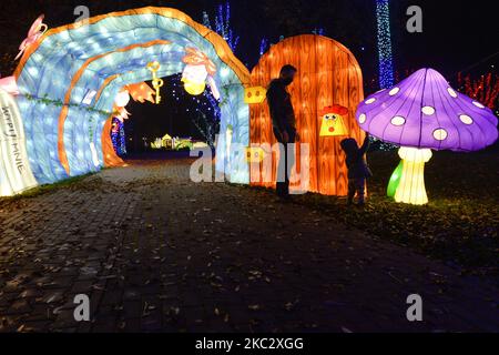 View of light installations inside the open-air exhibition 'Alice in Wonderland - Garden of Lights' at the Museum of Municipal Engineering and CD Lighting in the Garden of Experiences in Krakow. On Thursday, October 29, 2020, in Krakow, Poland. (Photo by Artur Widak/NurPhoto) Stock Photo