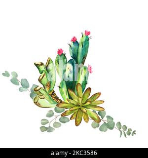 Watercolor composition of cacti and succulents on a white background. Raster Handmade. Can be used in the design of postcards, napkins. Stock Photo