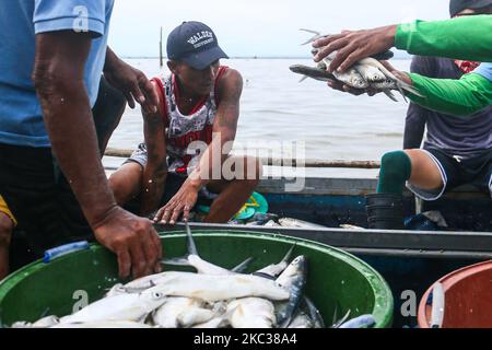 Because of the strong of Typhoon Rolly small scale fishermen in Binangonan, Rizal, Philippines are selling Bangus on November 2, 2020. The Binangonan Fish Port are destroyed caused by Typhoon Rolly. (Photo by Ryan Eduard Benaid/NurPhoto) Stock Photo