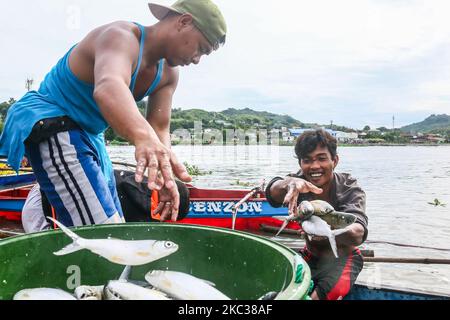 Because of the strong of Typhoon Rolly small scale fishermen in Binangonan, Rizal, Philippines are selling Bangus on November 2, 2020. The Binangonan Fish Port are destroyed caused by Typhoon Rolly. (Photo by Ryan Eduard Benaid/NurPhoto) Stock Photo