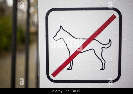 No dogs allowed icon seen in Warsaw on November 4 2020. (Photo by Maciej Luczniewski/NurPhoto) Stock Photo