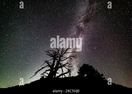 Milky Way captured with long exposure photography technique. Milkyway is the visible part of our galaxy that contains our Solar System as seen during the night from Olympus Mountain the mythical mountain in Ancient Greek culture, between Petrostrouga refuge and Skourta peak at the hiking trail above 2000m above the sea level in Greece during the night. Night landscape with trees, forest, summits with colorful Milky Way sky dome, cloudless sky at mountains with the starry sky with hills at summer with the beautiful Universe and Space background. Olympus Mountain National Park, Greece - October  Stock Photo