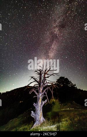 Milky Way captured with long exposure photography technique. Milkyway is the visible part of our galaxy that contains our Solar System as seen during the night from Olympus Mountain the mythical mountain in Ancient Greek culture, between Petrostrouga refuge and Skourta peak at the hiking trail above 2000m above the sea level in Greece during the night. Night landscape with trees, forest, summits with colorful Milky Way sky dome, cloudless sky at mountains with the starry sky with hills at summer with the beautiful Universe and Space background. Olympus Mountain National Park, Greece - October  Stock Photo