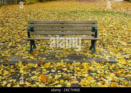 Lonely park bench with fallen leaves in autumn Stock Photo
