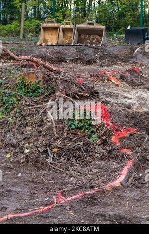 Wendover, Buckinghamshire, UK. 4th November, 2022. Trees felled by HS2 next to the A413. Tree stumps and roots that are painted pink usually have herbicide on them so as to kill the roots. HS2 are building a 350 metre long viaduct across the A413 and the Chiltern Railway line. HS2 have demolished Road Barn Farm and felled hundreds of trees along Small Dean Lane and on either side of the A413. Stop HS2 protesters formerly lived in the woods off the A413 at the Wendover Active Resistance Camp for two years. Eco Activist Dan Hooper known as Swampy and others tunnelled underneath the woodlands in Stock Photo