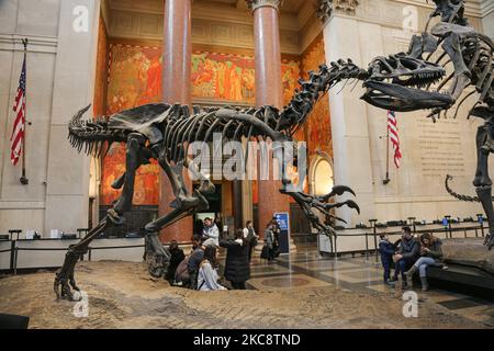 Wide angle view inside the Theodore Roosevelt Rotunda, the main ticketing lobby with fossils of Dinosaurs displayed in the public in the American Museum of Natural History AMNH located in the Upper West Side of Manhattan near Central Park in New York City. The museum receives about 5 million visitors, tourists, local and students anually. New York, United States of America USA on February 2020 (Photo by Nicolas Economou/NurPhoto) Stock Photo