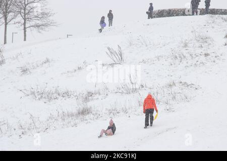 People, adults and mainly children are seen enjoying the snow, using their sleigh to slide from a hill slope near Eindhoven having fun while police protects them from passing cars to prevent any accident. Snowstorm Darcy brought subzero arctic temperature, snowfall and winds to the country covering everything with a thick layer of snow. The cold winter weather will last a few more days. Problems have been caused on the roads, public transportation and airports. Meerhoven, the Netherlands on February 8, 2021 (Photo by Nicolas Economou/NurPhoto) Stock Photo