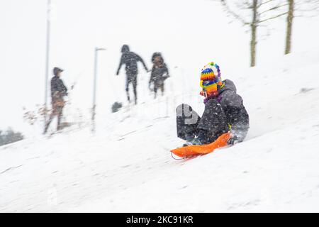 People, adults and mainly children are seen enjoying the snow, using their sleigh to slide from a hill slope near Eindhoven having fun while police protects them from passing cars to prevent any accident. Snowstorm Darcy brought subzero arctic temperature, snowfall and winds to the country covering everything with a thick layer of snow. The cold winter weather will last a few more days. Problems have been caused on the roads, public transportation and airports. Meerhoven, the Netherlands on February 8, 2021 (Photo by Nicolas Economou/NurPhoto) Stock Photo