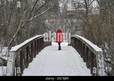 Woman walks across a bridge in a park as a snowstorm dropped 10-15 centimeters of snow across the city of Toronto, Ontario, Canada, on February 18, 2021. (Photo by Creative Touch Imaging Ltd./NurPhoto) Stock Photo