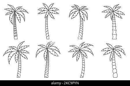 Palm tree black line set. Coloring book page with tropical beach plant. Coconut jungle cultivated gardening. Exotic tree for natural vacation poster, exotic botany miami banner, Hawaiian travel card Stock Vector