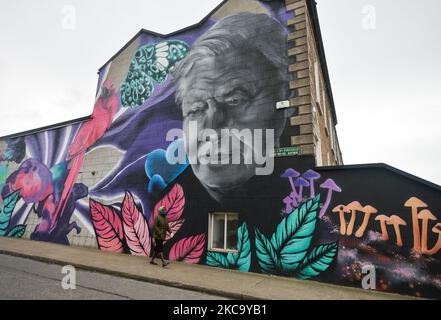 A woman wearing a face mask walks by a mural of David Attenborough by the artist collective SUBSET seen on the side of a property in south Dublin during Level 5 Covid-19 lockdown. On Wednesday, February 24, 2021, in Dublin, Ireland. (Photo by Artur Widak/NurPhoto) Stock Photo