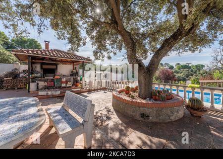 Courtyard on the grounds of a single-family home with a swimming pool, large olive trees and a woodshed for the winter Stock Photo