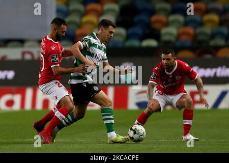 Pedro Goncalves of Sporting CP (C ) vies with Joao Costinha of CD Santa Clara (L) and Carlos Junior during the Portuguese League football match between Sporting CP and CD Santa Clara at Jose Alvalade stadium in Lisbon, Portugal on March 5, 2021. (Photo by Pedro FiÃºza/NurPhoto) Stock Photo