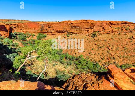 red sandstone with spectacular desert landscape of Kings Canyon cliffs in Australia Outback Red Center, Northern Territory. Aerial view of Watarrka Stock Photo