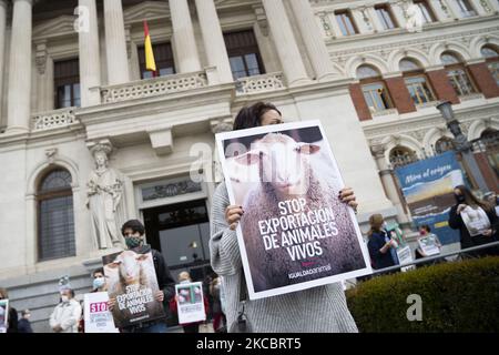 Animal Equality activists participate in the rally called before the Ministry of Agriculture, Fisheries and Food in Madrid, Spain, on March 30, 2021 to demand the ban on the export of animals to countries outside the EU. (Photo by Oscar Gonzalez/NurPhoto) Stock Photo