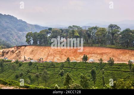 Tea plants seen growing along the hills of one of the many tea estates in Munnar, Idukki, Kerala, India. Tea is one of the main crops in this valley of around 5400 hectares. It is exported all over the world and Kerala is the second largest production of tea in India after Darjeeling. (Photo by Creative Touch Imaging Ltd./NurPhoto) Stock Photo