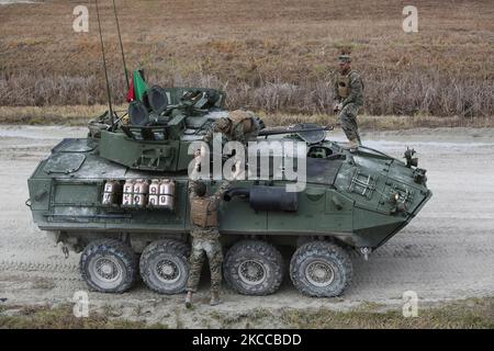 A light-armored vehicle crewman hands fellow crewman a M240B machine gun. Stock Photo