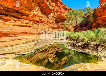 Permanent waterhole in Garden of Eden reflecting red sandstone of Watarrka National Park. Natural pool is a place for rest during Kings Canyon Rim Stock Photo