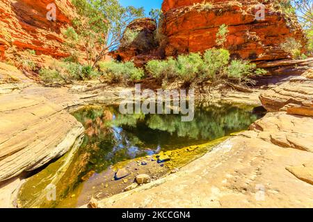 Scenic landscape of waterhole in Garden of Eden, Kings Canyon in Watarrka National Park. Natural pool is a refuge for many plants and animals Stock Photo