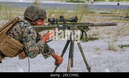 U.S. Marine scout sniper fires his rifle. Stock Photo