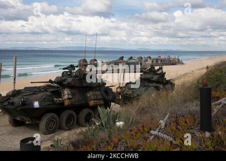 U.S. Marines transit the Pinheiro Da Cruz beach. Stock Photo