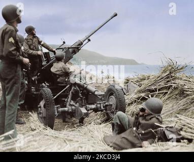 A U.S. artillery crew operates the anti-aircraft bofors gun in Algeria, circa 1943. Stock Photo