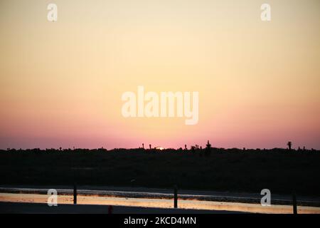 The sun sets on April 20th, 2021 in Boca Chica, Texas. (Photo by Reginald Mathalone/NurPhoto) Stock Photo