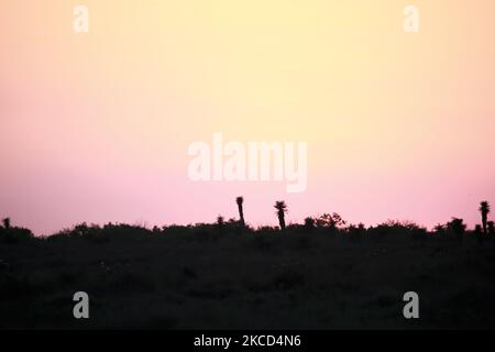 The sun sets on April 20th, 2021 in Boca Chica, Texas. (Photo by Reginald Mathalone/NurPhoto) Stock Photo