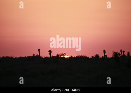 The sun sets on April 20th, 2021 in Boca Chica, Texas. (Photo by Reginald Mathalone/NurPhoto) Stock Photo