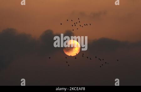 The sun rises over Gaza City amid a flare-up of Israeli-Palestinian violence, May 11, 2021. (Photo by Majdi Fathi/NurPhoto) Stock Photo