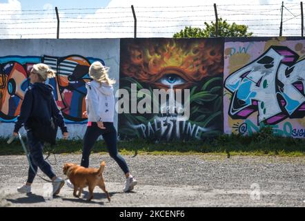 Street dog sex. Human rights day 2017 Stock Photo - Alamy