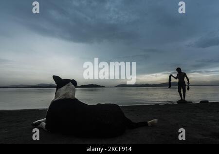 A man taking bath at the Brahmaputra river as a dog sitting on the riverbanks during a cloudy day, in Guwahati, Assam, India on 26 May 2021. Assam and other parts of the Northeast India are expected to receive rainfall due to the cyclone Yaas. (Photo by David Talukdar/NurPhoto) Stock Photo