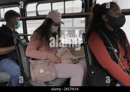 A woman carries a rabbit on her legs inside a public transport concession in Mexico City during the COVID-19 health emergency and the yellow epidemiological traffic light in the capital. (Photo by Gerardo Vieyra/NurPhoto) Stock Photo