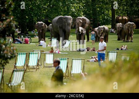 People sunbathe beside life-size sculptures of a herd of Asian elephants on display in Green Park in London, England, on June 16, 2021. The sculptures, intended to highlight human-wildlife co-existence and the importance of protecting biodiversity, were made out of lantana camara vines by indigenous communities in the Tamil Nadu region of southern India, who live their everyday lives alongside elephants. The installation forms part of the so-called Co-Existence Project, run jointly by charities the Elephant Family and The Real Elephant Collective. (Photo by David Cliff/NurPhoto) Stock Photo