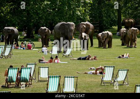 People sunbathe beside life-size sculptures of a herd of Asian elephants on display in Green Park in London, England, on June 16, 2021. The sculptures, intended to highlight human-wildlife co-existence and the importance of protecting biodiversity, were made out of lantana camara vines by indigenous communities in the Tamil Nadu region of southern India, who live their everyday lives alongside elephants. The installation forms part of the so-called Co-Existence Project, run jointly by charities the Elephant Family and The Real Elephant Collective. (Photo by David Cliff/NurPhoto) Stock Photo
