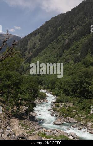 Scenic view of Naranag valley during hot summer day in Naranag about 55 Kilometres from Srinagar, Indian Administered Kashmir on 22 June2021. (Photo by Muzamil Mattoo/NurPhoto) Stock Photo