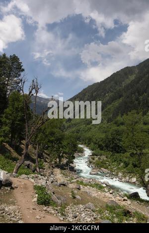 Scenic view of Naranag valley during hot summer day in Naranag about 55 Kilometres from Srinagar, Indian Administered Kashmir on 22 June2021. (Photo by Muzamil Mattoo/NurPhoto) Stock Photo