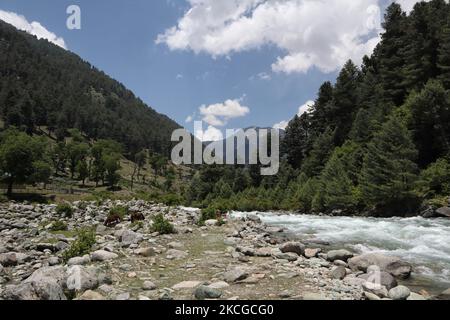 Scenic view of Naranag valley during hot summer day in Naranag about 55 Kilometres from Srinagar, Indian Administered Kashmir on 22 June2021. (Photo by Muzamil Mattoo/NurPhoto) Stock Photo