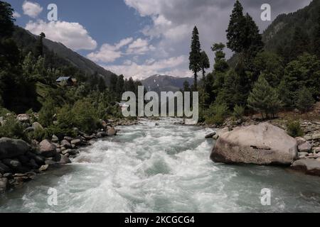 Scenic view of naranag valley during hot summer day in Naranag about 55 Kilometres from Srinagar, Indian Administered Kashmir on 22 June2021. (Photo by Muzamil Mattoo/NurPhoto) Stock Photo