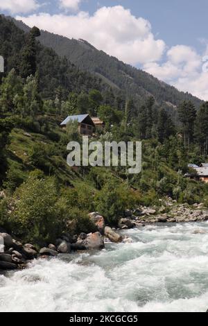 Scenic view of naranag valley during hot summer day in Naranag about 55 Kilometres from Srinagar, Indian Administered Kashmir on 22 June2021. (Photo by Muzamil Mattoo/NurPhoto) Stock Photo