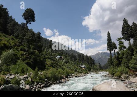 Scenic view of naranag valley during hot summer day in Naranag about 55 Kilometres from Srinagar, Indian Administered Kashmir on 22 June2021. (Photo by Muzamil Mattoo/NurPhoto) Stock Photo