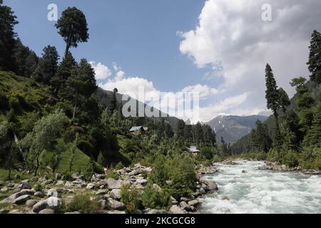 Scenic view of naranag valley during hot summer day in Naranag about 55 Kilometres from Srinagar, Indian Administered Kashmir on 22 June2021. (Photo by Muzamil Mattoo/NurPhoto) Stock Photo