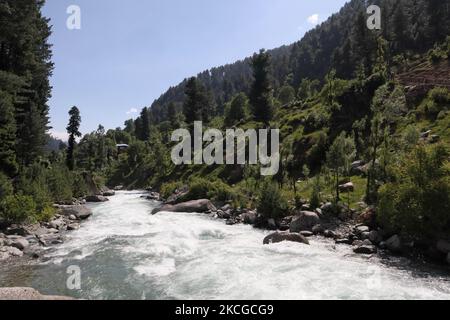 Scenic view of naranag valley during hot summer day in Naranag about 55 Kilometres from Srinagar, Indian Administered Kashmir on 22 June2021. (Photo by Muzamil Mattoo/NurPhoto) Stock Photo