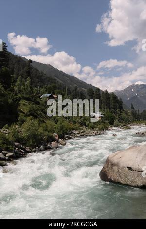 Scenic view of naranag valley during hot summer day in Naranag about 55 Kilometres from Srinagar, Indian Administered Kashmir on 22 June2021. (Photo by Muzamil Mattoo/NurPhoto) Stock Photo