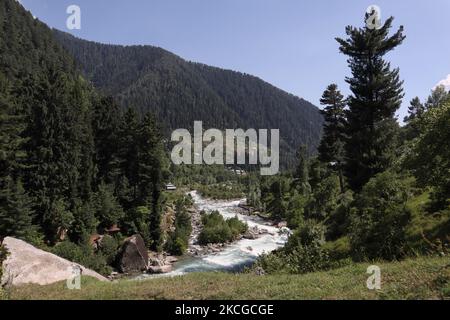 Scenic view of naranag valley during hot summer day in Naranag about 55 Kilometres from Srinagar, Indian Administered Kashmir on 22 June2021. (Photo by Muzamil Mattoo/NurPhoto) Stock Photo