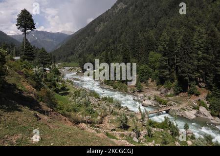 Scenic view of naranag valley during hot summer day in Naranag about 55 Kilometres from Srinagar, Indian Administered Kashmir on 22 June2021. (Photo by Muzamil Mattoo/NurPhoto) Stock Photo