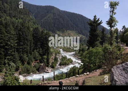 Scenic view of naranag valley during hot summer day in Naranag about 55 Kilometres from Srinagar, Indian Administered Kashmir on 22 June2021. (Photo by Muzamil Mattoo/NurPhoto) Stock Photo