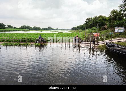 Due to Heavy Rains, the water level in several districts of different states, including West Bengal, is expected to rise. Earlier, West Bengal was in danger of flooding due to heavy rains and apprehension of water release from the dam due to cyclones of the Bay of Bengal. The Jalangi river water has started rising. The Jalangi River separates Tehatta-I Block and Tehatta-II Block. The only means of communication between two-block is this temporary bamboo bridge, but water also dangerously overflowing over that bridge. Mature Jute plants on the banks of the river are less than the previous year  Stock Photo