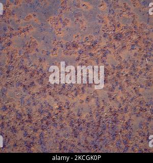Texture of old rusty iron sheet steel for background and design Stock Photo