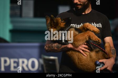 A man carries a young dog on the street in the Temple Bar area in Dublin city center. On Thursday, 01 July 2021, in Dublin, Ireland. (Photo by Artur Widak/NurPhoto) Stock Photo